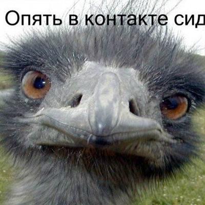 Евгений Чернов