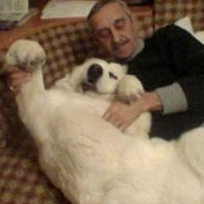 Александр Крахмалев